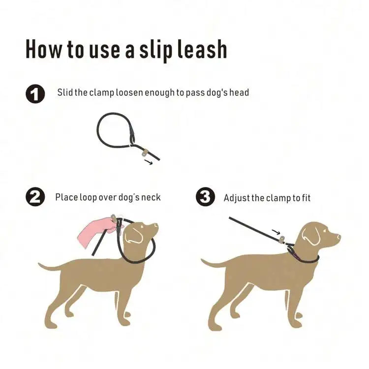 Durable Braided Dog Leash Anti Slip Training Lead for Small Medium Large Dogs Outdoor Walking