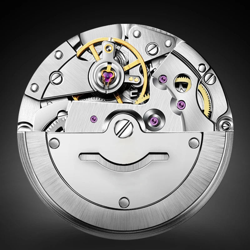Dianpai Classic Business Men's Fully Automatic Stainless Steel Mechanical Movement Men's Night Light Versatile Watch
